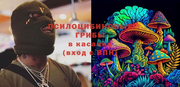 шишки Бронницы