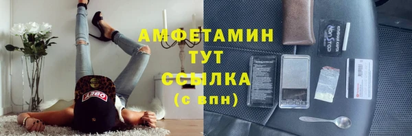 шишки Бронницы